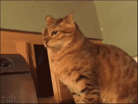 source.gif