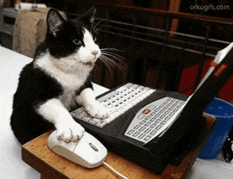 Digital art gif. A cat sits in front of a laptop, one paw positioned on the keyboard, one paw controlling the mouse.