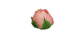 source.gif