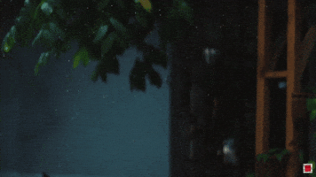 hyan  GIF