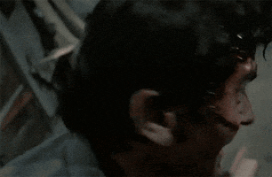 bruce campbell film GIF by hoppip