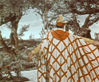 robin hood rainbow GIF