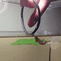 GIF