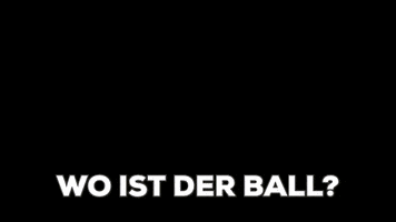Twitterdetest GIF by Twitter Sport DE