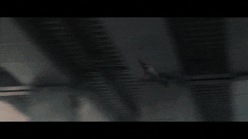zardolog  GIF