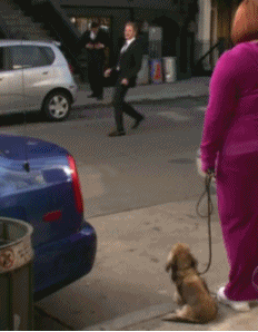 how i met your mother dog GIF