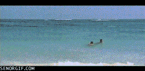 beach fail GIF by Cheezburger