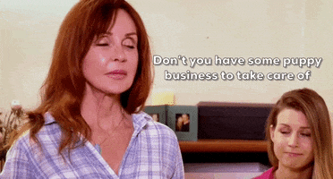 Shade GIF