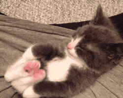 Stretching At Home GIF