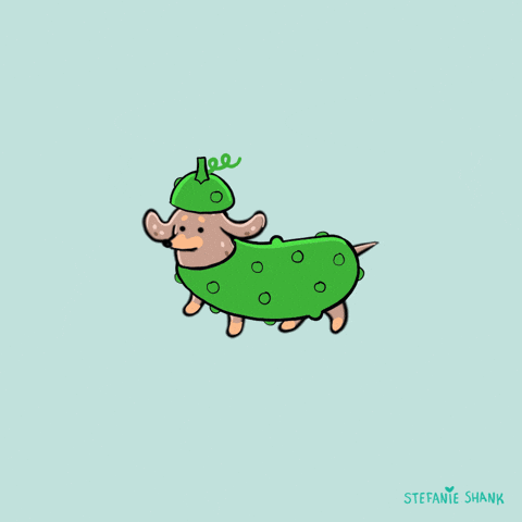 https://media2.giphy.com/media/11sofeTCkMlDPv7pS3/giphy.gif?cid=28f76e61n3jscyl1elysl3wcj4r2hklolcp4gdmis7xjay8e&rid=giphy.gif&ct=g