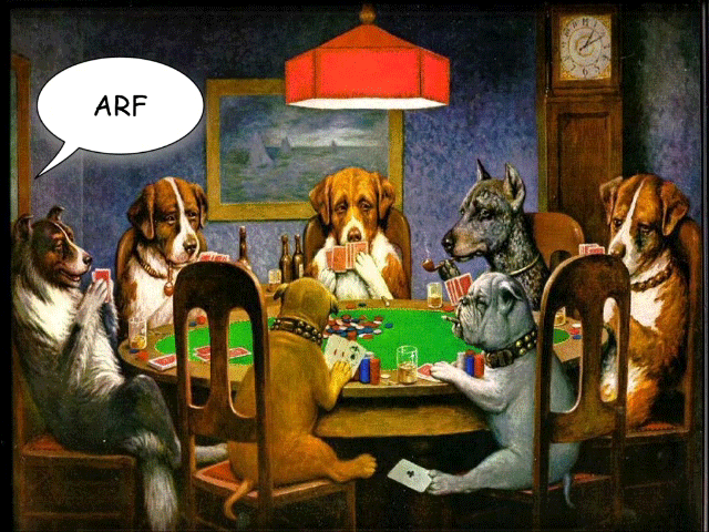 Poker Ron GIF - Find & Share on GIPHY
