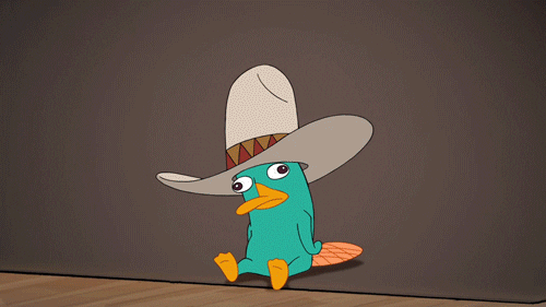 Perry The Actous GIFs - Get the best GIF on GIPHY