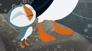 #puffin #rock #puffinrock #oona #hiccup #puffinhiccup GIF by Puffin Rock