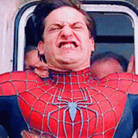 protect spider man GIF