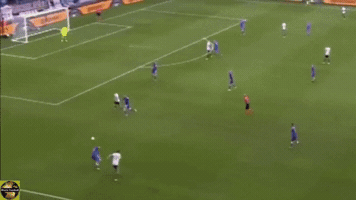 navijacnica #draxler #germany #euro #euro2016 GIF
