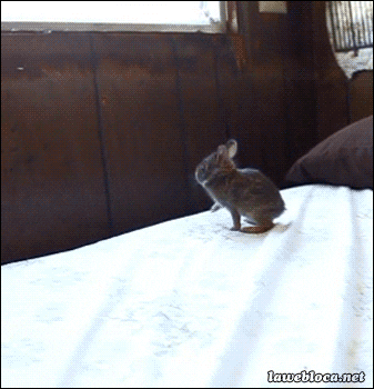 Peace Out Goodbye GIF - Find & Share on GIPHY
