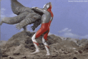 Fight Spinning GIF