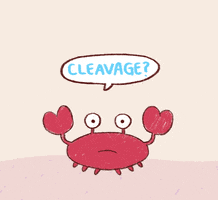 cleavage lol GIF by Bee and Puppycat