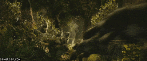 rabbit jumping GIF by Cheezburger