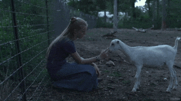 200.gif?cid=fc005b082750d44a3aff1410e473a8f03b4d2df6f864968b&rid=200.gif&ct=g