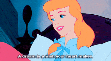 a dream is a wish your heart makes love GIF