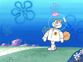 Sandy Cheeks GIFs - Find & Share on GIPHY