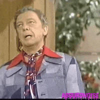 don knotts 1960s GIF by absurdnoise
