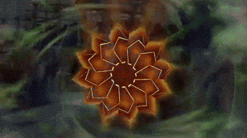 mimosa psychedelic mandala mimogif GIF
