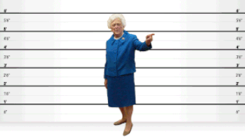 Height GIFs - Find & Share on GIPHY