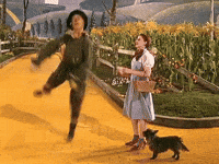 Find Share On Giphy Find Share On Giphy