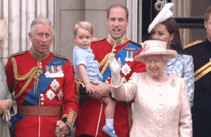 Queen Elizabeth Government GIF