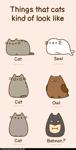 sitting pusheen