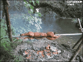 pig roast river GIF