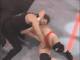 dick punch GIF