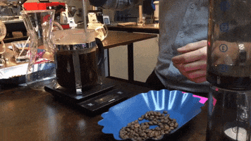pandascoffee coffee barista french press visions espresso GIF