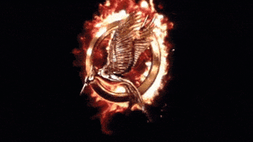 catching fire GIF by The Hunger Games