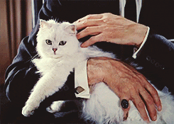 Devil In The White City Classics GIF - Find & Share on GIPHY