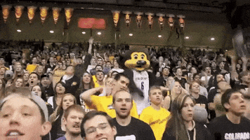 basketball win GIF by CUBoulder