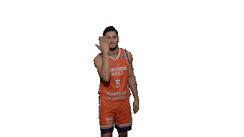Gameday Bk Sticker by Bahçeşehir Koleji Spor Kulübü