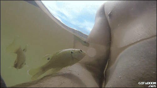 sexiest-breast-biting-couples