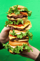 หว GIF by Shake Shack