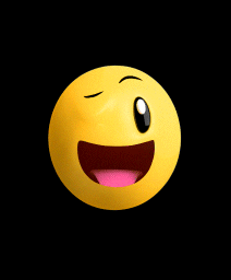 giphy.gif