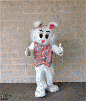 giphy.gif?cid=ecf05e4738602eefb30335f74b