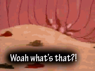 giphy.gif