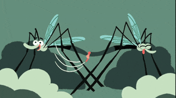 metteileneholmriis animation transition GIF