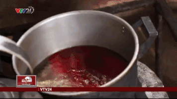 changchang-03d2  GIF