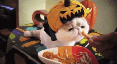 giphy.gif?cid=4d1e4f29ffa4cff161997d3f5609a844c3c2d223ff92e56c&rid=giphy.gif
