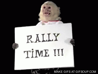 Rally Monkey Gif GIFs