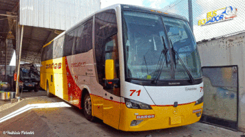 luismiguelsanchez  GIF