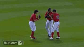 Red Sox Win GIF by MLB